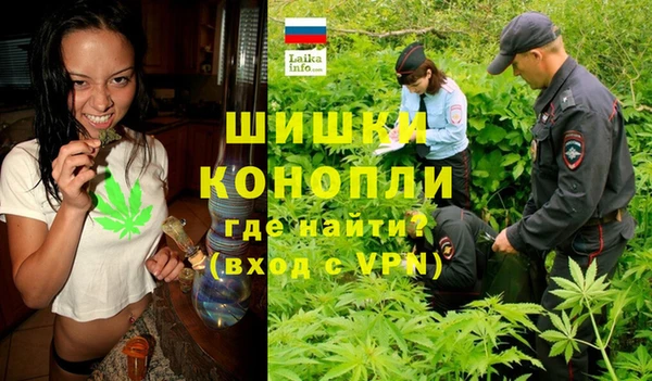 мдпв Вязьма
