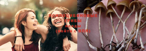 COCAINE Вяземский