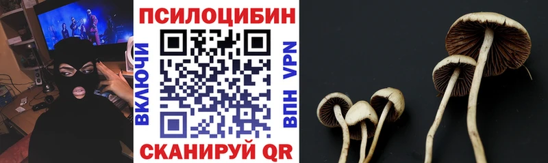 Псилоцибиновые грибы прущие грибы  ссылка на мегу маркетплейс  Зеленоградск 
